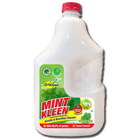 Mint Kleen 3 Litre